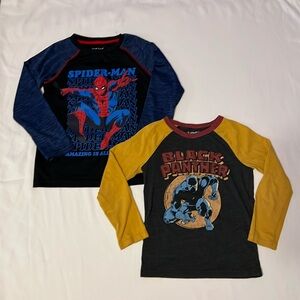 Spider man and black panther